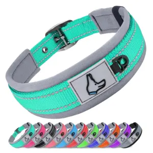 Padded Dog Collars for small Medium large Dogs